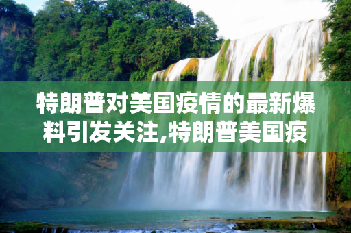 特朗普对美国疫情的最新爆料引发关注,特朗普美国疫情最新爆料