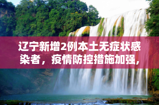 辽宁新增2例本土无症状感染者，疫情防控措施加强,辽宁新增2例本土无症状感染者