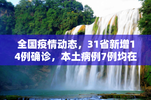 全国疫情动态，31省新增14例确诊，本土病例7例均在辽宁,31省新增14例确诊本土7例在辽宁
