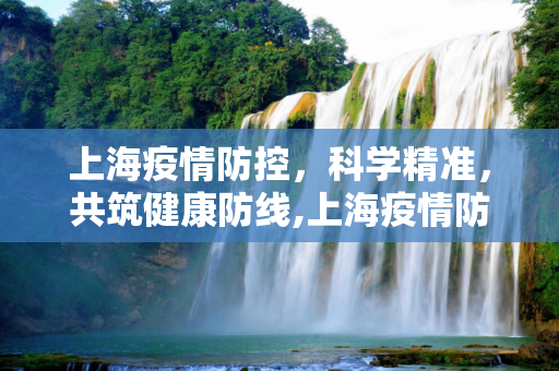 上海疫情防控，科学精准，共筑健康防线,上海疫情防控