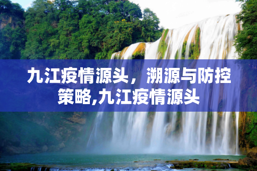 九江疫情源头，溯源与防控策略,九江疫情源头