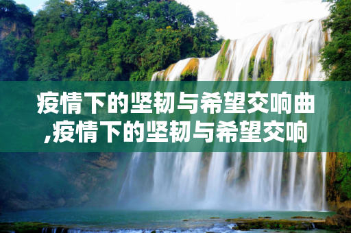 疫情下的坚韧与希望交响曲,疫情下的坚韧与希望交响曲