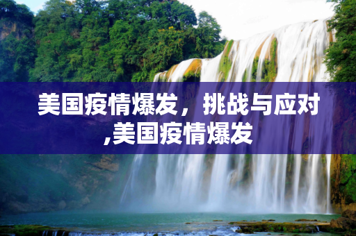 美国疫情爆发，挑战与应对,美国疫情爆发
